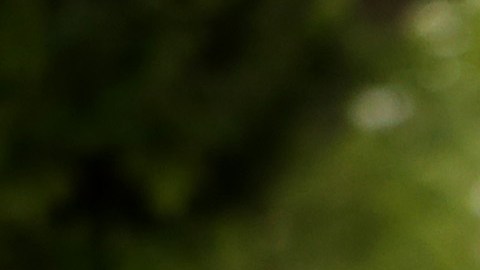 Foto: Getty Images