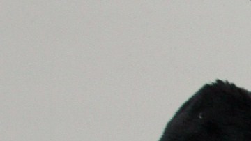 Alcoholímetro / Foto: Getty Images