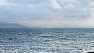 Kia Optima Hybrid. / Foto: Cortesía Kia.