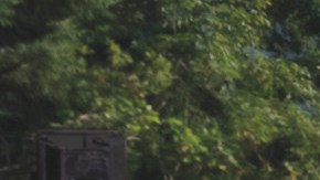 2021 F-Series Super Duty / Foto: Ford