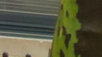 Ford F-150 2018. / Foto: Wiki Commons.