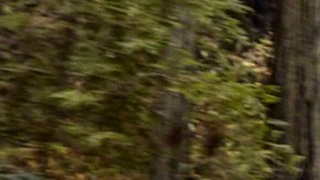 jeep-grand-cherokee-2021