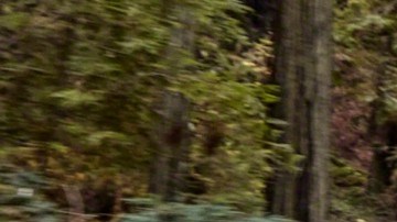 jeep-grand-cherokee-2021