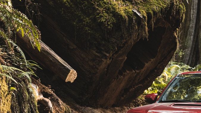 Toyota 4Runner 2021. / Foto: Cortesía Toyota. 