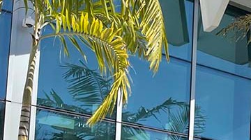 Toyota RAV4 Prime 2021 Plug-in Hybrid.