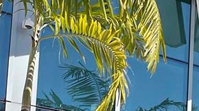 Toyota RAV4 Prime 2021 Plug-in Hybrid.