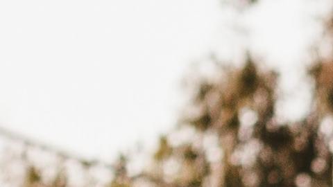 Foto: Unsplash