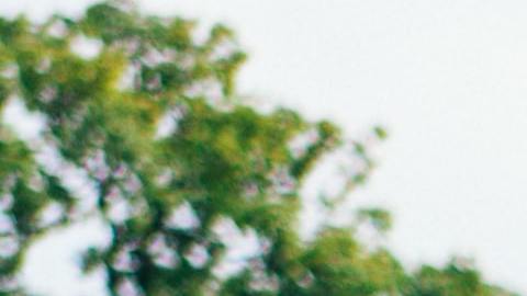 Foto: Unsplash