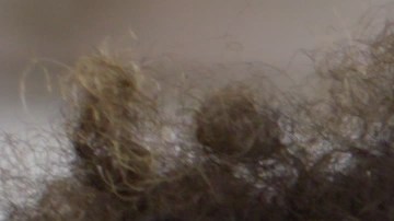 Cómo saco una cita para la licencia de conducir