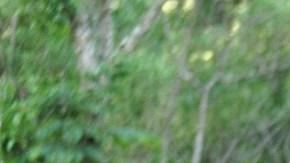 Accidente en carretera.