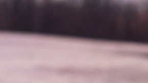 llanta-de-auto-pinchada