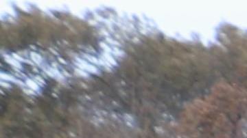 Pickup / Foto: Unsplash