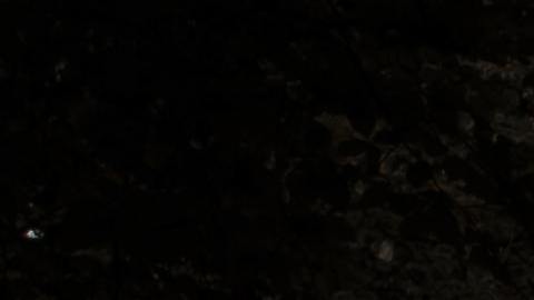 Foto: Unsplash