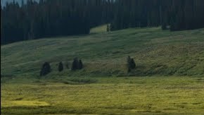 chevrolet-silverado-1500