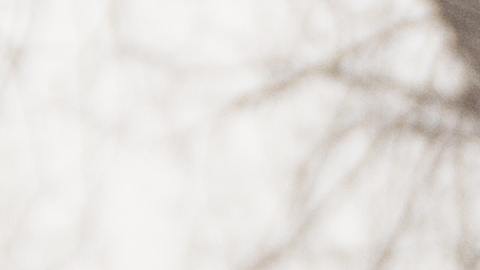 Foto: Unsplash