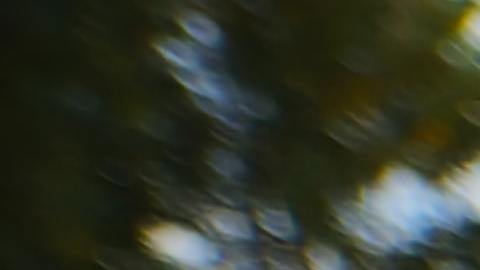 Foto: Unsplash