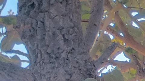 Foto: Pexels