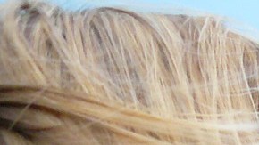 Las mujeres tienen entre un 20% y un 28% más de probabilidades de morir en un accidente automovilístico.