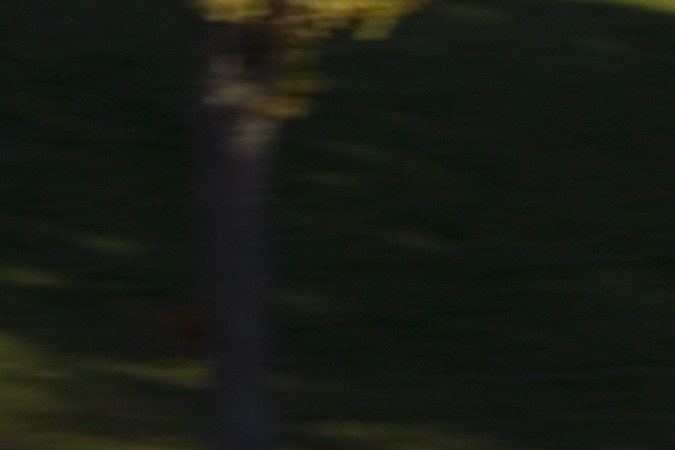 carros medianos 2010