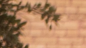 Toyota Highlander 2020. / Foto: Cortesía Toyota.