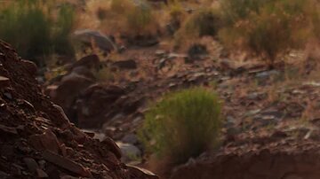 Chevrolet Silverado 1500 2021. / Foto: Cortesía Chevrolet.