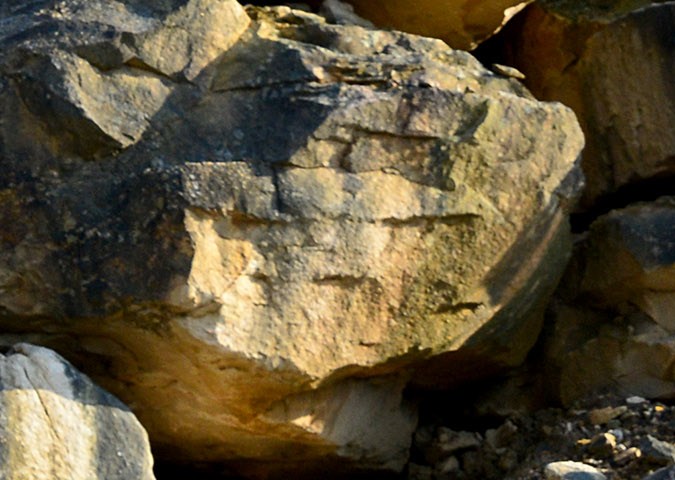 Ford Expedition Usado 2015