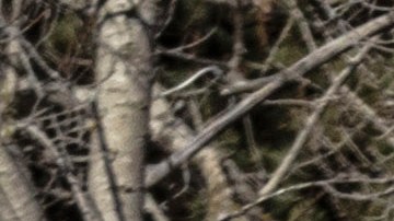 2021 Bronco Exterior