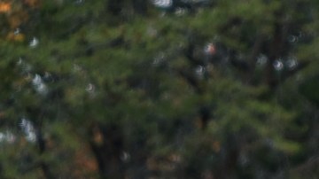 Subir y bajar de la minivan, o meter equipaje en el maletero, es muy fácil gracias a las puertas automáticas. / Foto: Chrysler