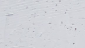 Hyundai Venue. / Foto: Cortesía Hyundai.