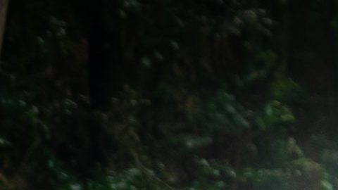 Auto lexus usado