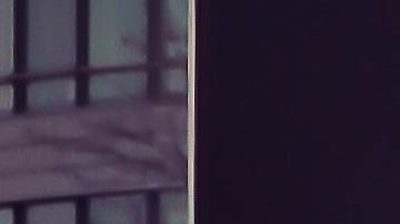 Concesionarios de autos usados en Florida