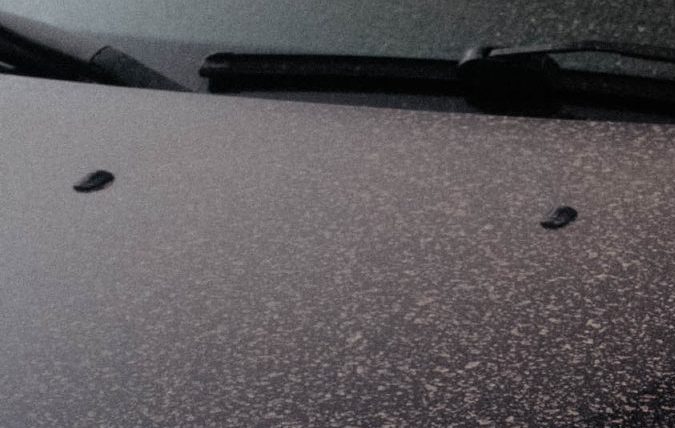 Auto lleno de insectos