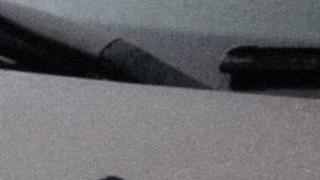 Auto lleno de insectos