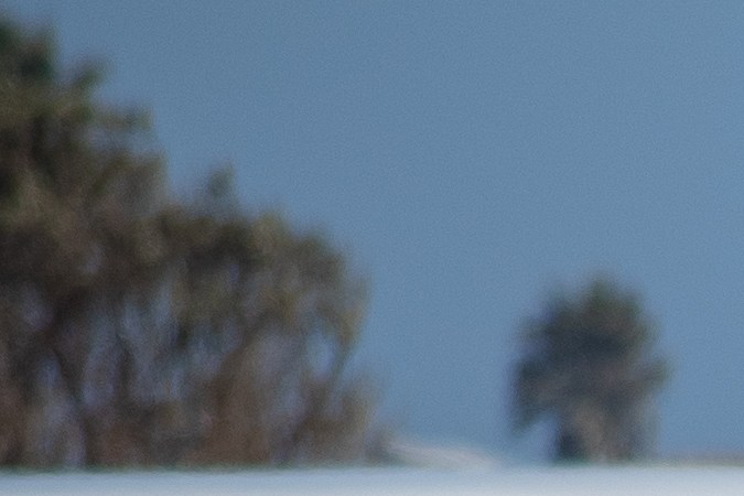 ¿Puedo declararme inocente de un ticket de tránsito en California?