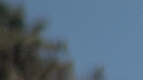 ¿Puedo declararme inocente de un ticket de tránsito en California?