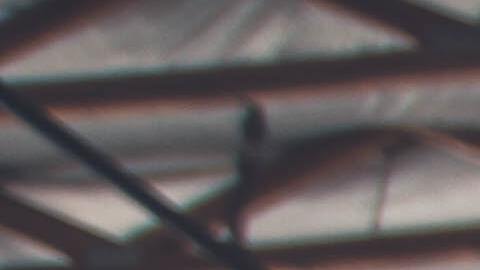 Foto: Unsplash