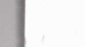 motores y vehiculos nj