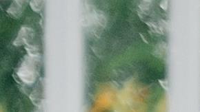 Foto ilustrativa de una pareja durante su mudanza