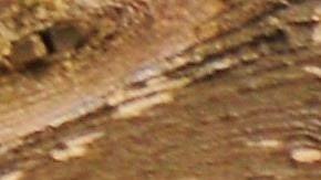 Foto de un muro con varias placas de matrícula colgadas.