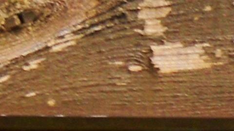 Foto de un muro con varias placas de matrícula colgadas.