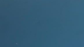 Porsche 911 Targa "Tardza" reciclado de CarBone. / Foto: Tardza.com