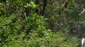 El camión cisterna transportaba combustible.