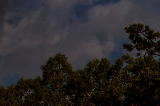 Chevrolet Colorado 2019