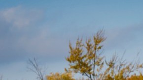 2021 Chevrolet Tahoe LS with the 3.0L Duramax Turbo-Diesel / Foto: Chevrolet