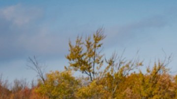 2021 Chevrolet Tahoe LS with the 3.0L Duramax Turbo-Diesel / Foto: Chevrolet