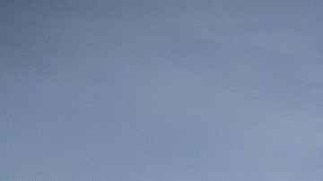 Mercedes-Benz Sprinter / Foto: Mercedes-Benz