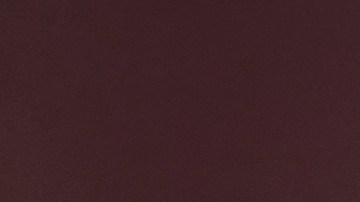 GT-R Nismo Special Edition / Foto: Nissan