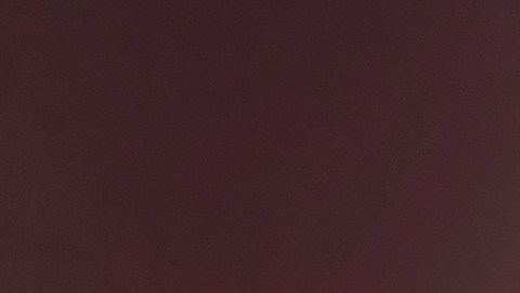 GT-R Nismo Special Edition / Foto: Nissan