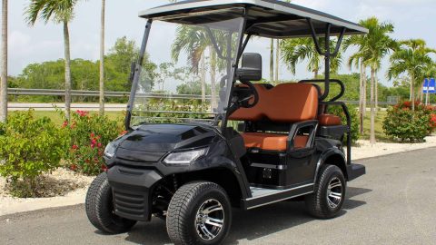 Carros de golf