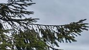 Jeep Wrangler 4xe / Foto: Stellantis